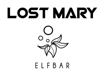 LOST MARY
